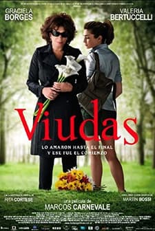 Dullar (2011) afişi