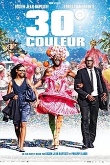 30° couleur (2012) afişi