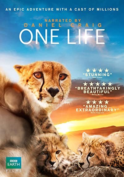 One Life (2011) afişi