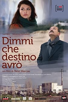 My Destiny (2012) afişi