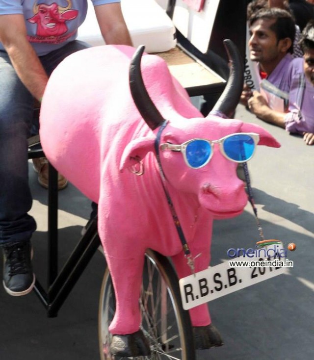 Matru Ki Bijlee Ka Mandola Fotoğrafı