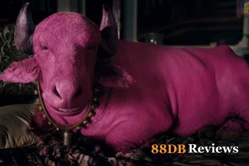 Matru Ki Bijlee Ka Mandola Fotoğrafı