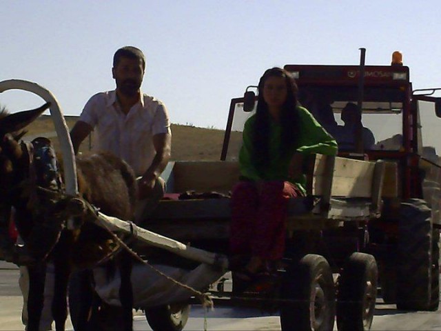 Umut Üzümleri fotoğrafı