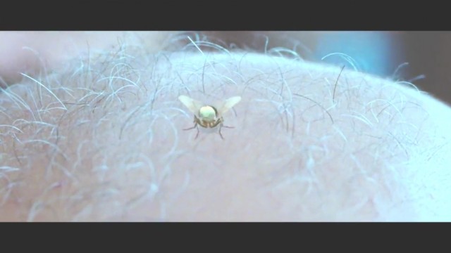 Eega Kara Sineğin İntikamı fotoğrafı