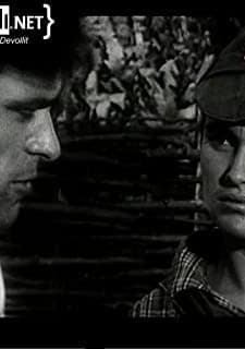 Shtigje Lufte (1974) afişi