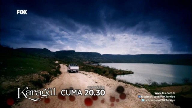 Karagül Fotoğrafı