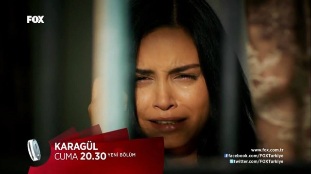 Karagül Fotoğrafı