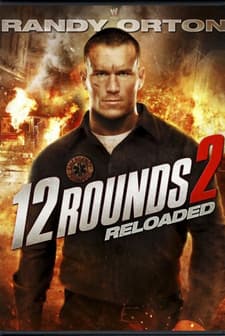 12 Tuzak 2 (2013) afişi