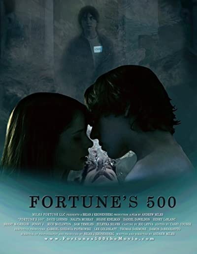 Fortune's 500 (2012) afişi