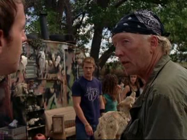 Diri Diri Göm fotoğrafı