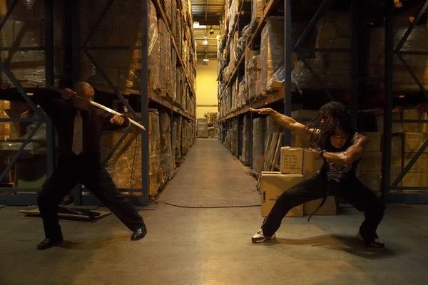 Siyah Kobra fotoğrafı