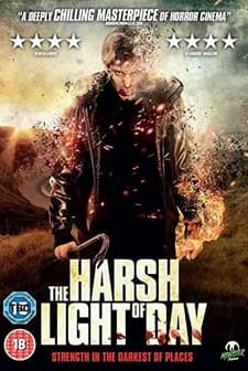 The Harsh Light of Day (2012) afişi