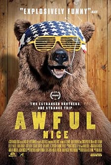 Korkunç Güzel (2013) afişi