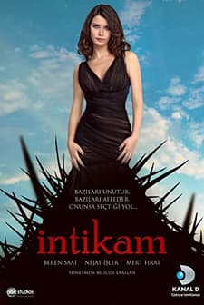 İntikam (2013) afişi