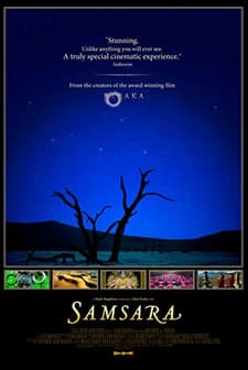 Samsara (2011) afişi