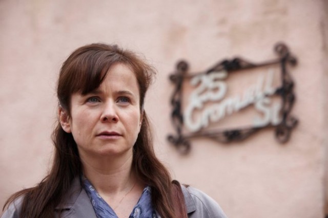 Hazır Yetişkin Fotoğrafı