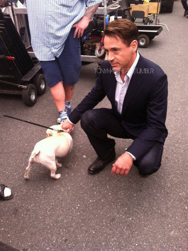 Yargıç Fotoğrafı