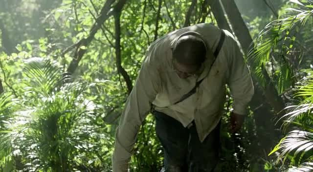 Karanlık Gerçek Fotoğrafı