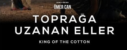 Toprağa Uzanan Eller Fotoğrafı