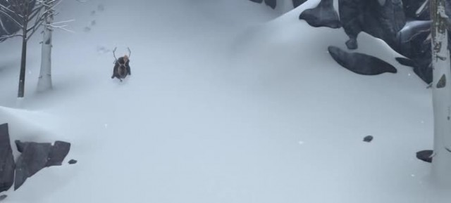 Karlar Ülkesi Fotoğrafı