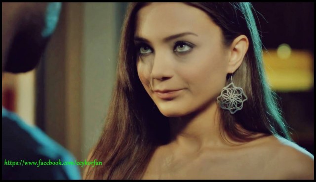 Bir Aşk Hikayesi Sezon 1 Fotoğrafı