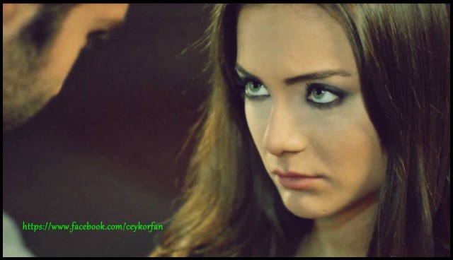 Bir Aşk Hikayesi Sezon 1 Fotoğrafı