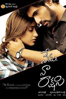 Nenu Naa Rakshasi (2011) afişi