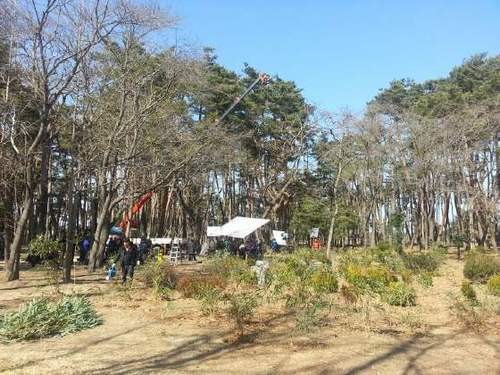 Gu Family Book Fotoğrafı