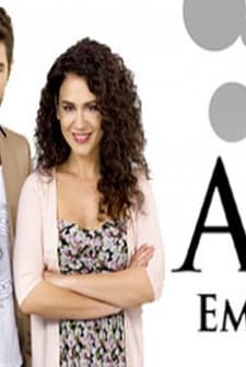 Aşk emek ister (2013) afişi