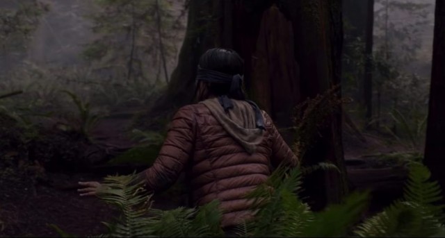 Bird Box Fotoğrafı