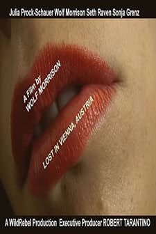 Lost in Vienna, Austria (2013) afişi