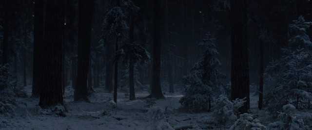 44. Çocuk Fotoğrafı