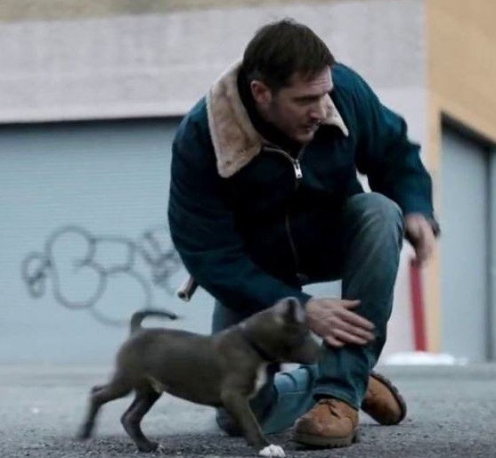 Kirli Para fotoğrafı