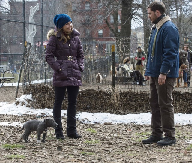 Kirli Para Fotoğrafı