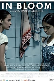 Hayatın Baharı (2013) afişi