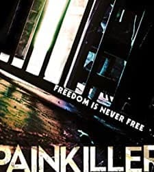 Painkiller (2013) afişi