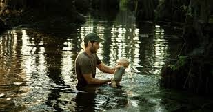 Jessabelle Fotoğrafı