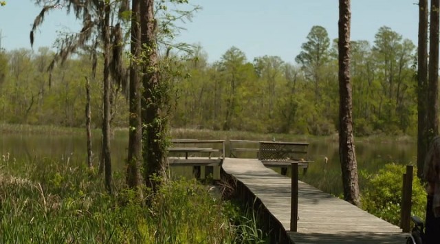 Jessabelle Fotoğrafı