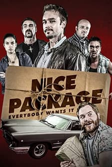 Nice Package (2016) afişi