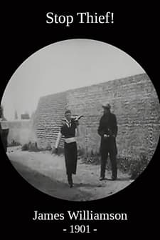 Stop Thief! (1901) afişi