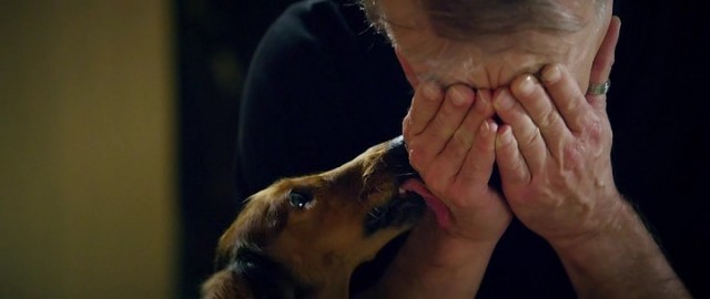 Yüzleşme Fotoğrafı