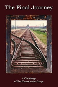 Son Yolculuk (2010) afişi