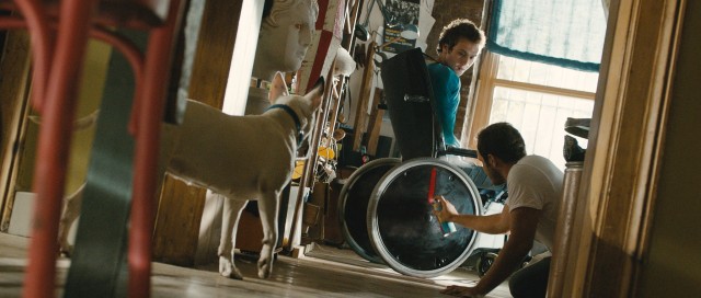 Tamam mıyız? Fotoğrafı