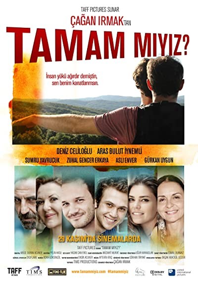 Tamam mıyız? (2013) afişi