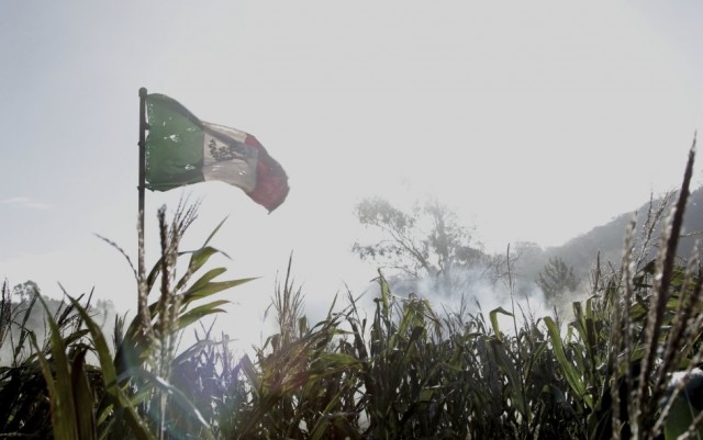 Cinco De Mayo: The Battle Fotoğrafı