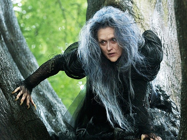 Sihirli Orman Fotoğrafı