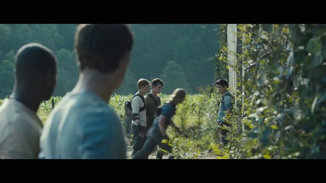 Labirent: Ölümcül Kaçış Fotoğrafı