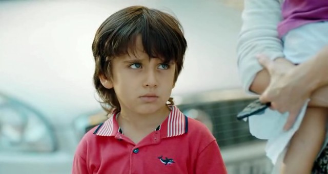 Şevkat Yerimdar fotoğrafı