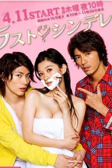 The Last Cinderella (2013) afişi