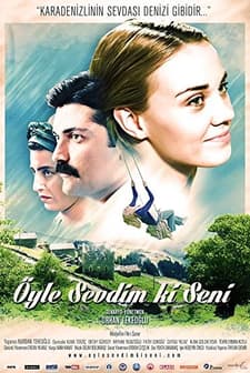 Öyle Sevdim Ki Seni (2013) afişi